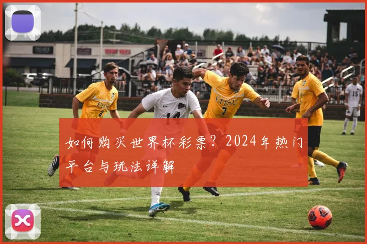 如何购买世界杯彩票？2024年热门平台与玩法详解