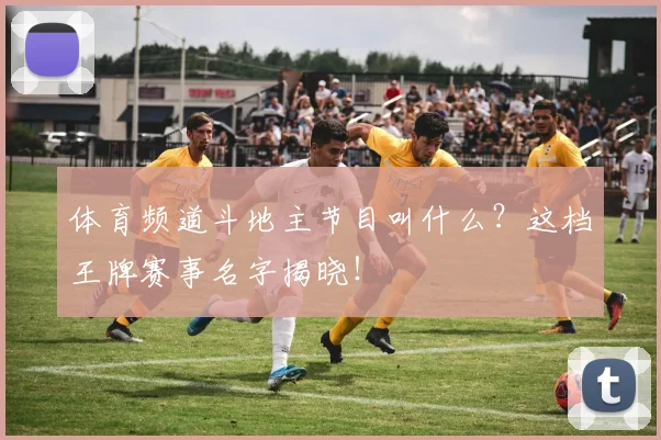 体育频道斗地主节目叫什么？这档王牌赛事名字揭晓！
