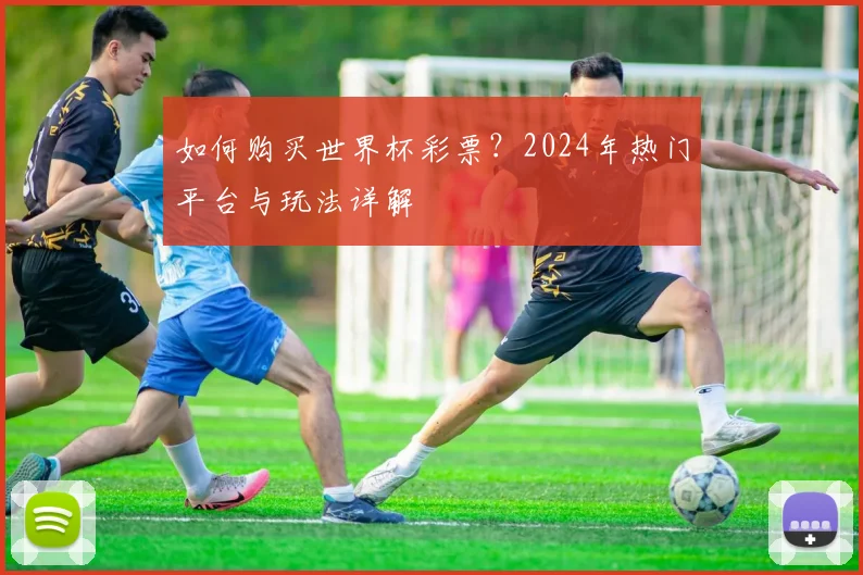 如何购买世界杯彩票？2024年热门平台与玩法详解