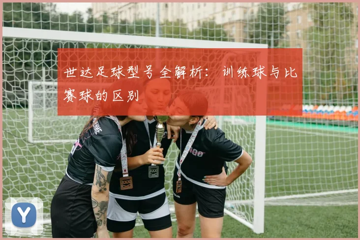 世达足球型号全解析：训练球与比赛球的区别
